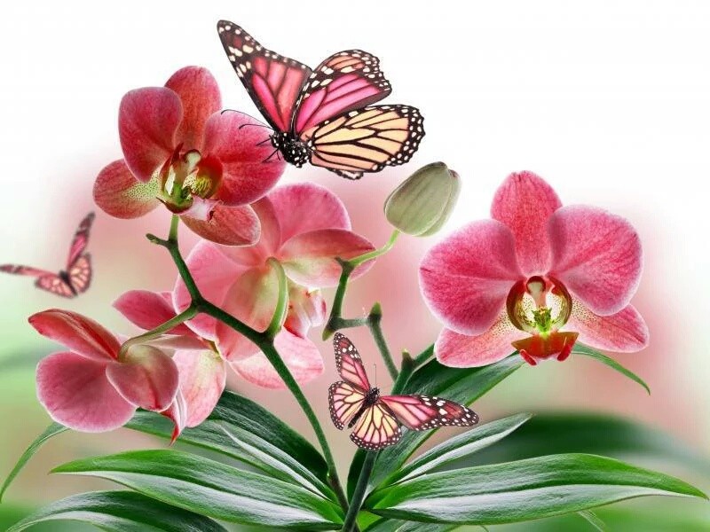 اضغط على الصورة لعرض أكبر. 

الإسم:	12966029_218821948483838_136057754_n.jpg 
مشاهدات:	903 
الحجم:	112.7 كيلوبايت 
الهوية:	890219