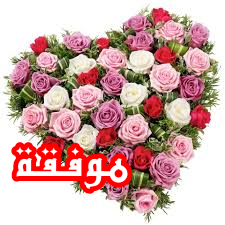 اضغط على الصورة لعرض أكبر. 

الإسم:	CTD1042020174621.png 
مشاهدات:	595 
الحجم:	98.1 كيلوبايت 
الهوية:	890284