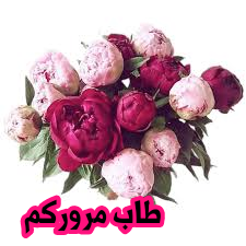 اضغط على الصورة لعرض أكبر. 

الإسم:	CTD204202014349.png 
مشاهدات:	672 
الحجم:	73.1 كيلوبايت 
الهوية:	890292