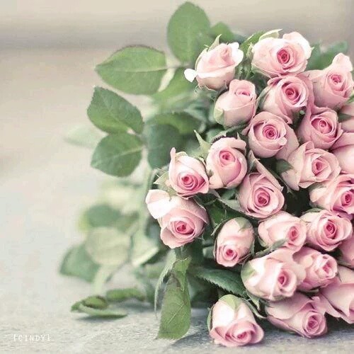 اضغط على الصورة لعرض أكبر. 

الإسم:	12508958_1664866683799239_86124498461685019_n.jpg 
مشاهدات:	520 
الحجم:	65.1 كيلوبايت 
الهوية:	890907