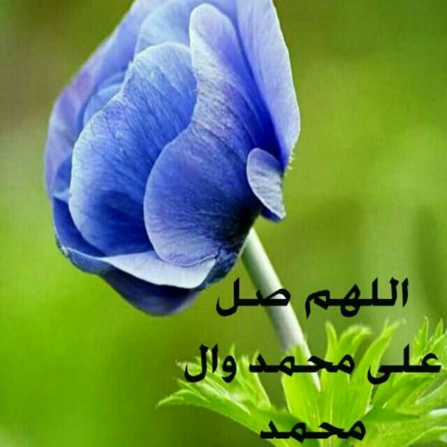 اضغط على الصورة لعرض أكبر. 

الإسم:	image-44c2e1b558b71adc824cd7e882b5c300e6b8a7b225398402a5620db325805663-V.jpg 
مشاهدات:	574 
الحجم:	62.9 كيلوبايت 
الهوية:	891108