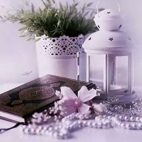 اضغط على الصورة لعرض أكبر. 

الإسم:	65081_1538795399666025_5385198632835896095_n.jpg 
مشاهدات:	449 
الحجم:	48.2 كيلوبايت 
الهوية:	894871