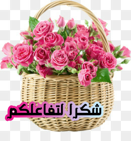 اضغط على الصورة لعرض أكبر. 

الإسم:	CTD2282020212821.png 
مشاهدات:	662 
الحجم:	122.6 كيلوبايت 
الهوية:	899881