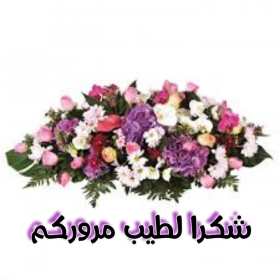 اضغط على الصورة لعرض أكبر. 

الإسم:	IMG_20201018_104539.jpg 
مشاهدات:	686 
الحجم:	87.2 كيلوبايت 
الهوية:	905141