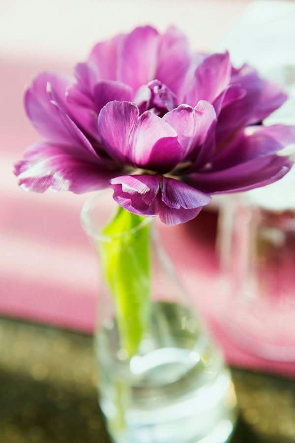اضغط على الصورة لعرض أكبر. 

الإسم:	FB_IMG_1459248639588.jpg 
مشاهدات:	434 
الحجم:	50.5 كيلوبايت 
الهوية:	899545