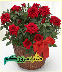 اضغط على الصورة لعرض أكبر. 

الإسم:	CTD2282020212519.png 
مشاهدات:	598 
الحجم:	135.1 كيلوبايت 
الهوية:	900183