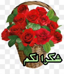 اضغط على الصورة لعرض أكبر. 

الإسم:	CTD288202021160.png 
مشاهدات:	737 
الحجم:	108.6 كيلوبايت 
الهوية:	900398