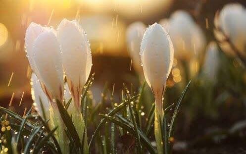 اضغط على الصورة لعرض أكبر. 

الإسم:	photo_2017-02-23_21-03-30.jpg 
مشاهدات:	496 
الحجم:	31.4 كيلوبايت 
الهوية:	900580