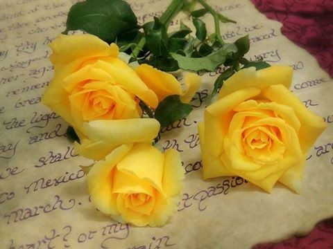 اضغط على الصورة لعرض أكبر. 

الإسم:	15823391_1086986101405886_5255315248359552665_n.jpg 
مشاهدات:	383 
الحجم:	42.3 كيلوبايت 
الهوية:	901996