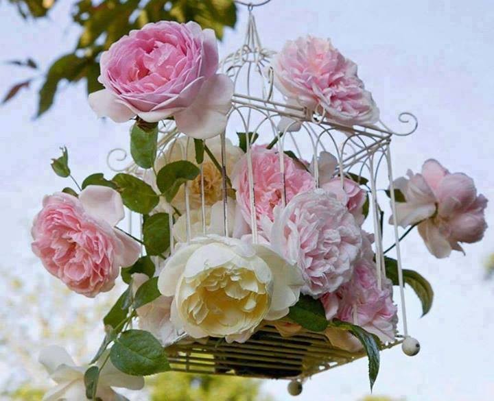 اضغط على الصورة لعرض أكبر. 

الإسم:	10462621_743191169077756_4084345683239707350_n.jpg 
مشاهدات:	442 
الحجم:	83.4 كيلوبايت 
الهوية:	903238