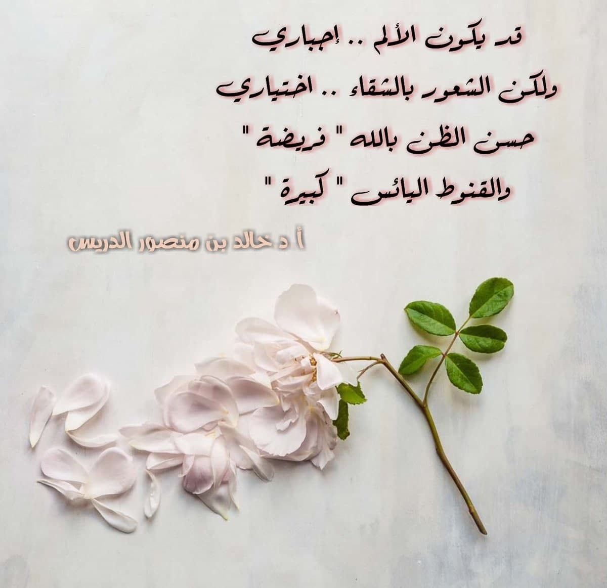 اضغط على الصورة لعرض أكبر. 

الإسم:	راق لي.jpg 
مشاهدات:	4263 
الحجم:	110.0 كيلوبايت 
الهوية:	903913