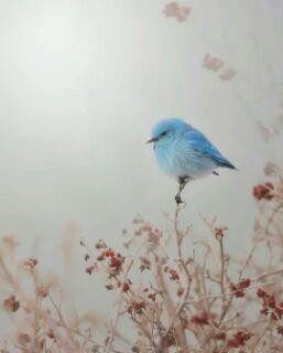 اضغط على الصورة لعرض أكبر. 

الإسم:	photo_2016-05-31_00-05-30.jpg 
مشاهدات:	1451 
الحجم:	12.7 كيلوبايت 
الهوية:	905234