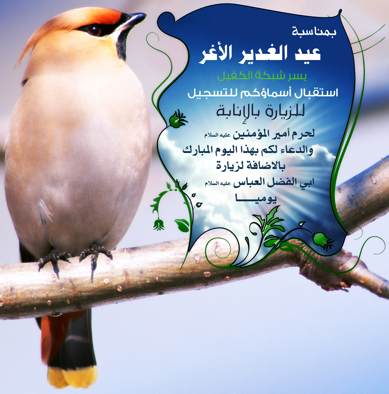 اضغط على الصورة لعرض أكبر. 

الإسم:	الزيارة-بالانا&amp;#15.jpg 
مشاهدات:	2 
الحجم:	884.5 كيلوبايت 
الهوية:	852339