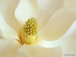 اضغط على الصورة لعرض أكبر. 

الإسم:	images (2).jpg 
مشاهدات:	443 
الحجم:	6.4 كيلوبايت 
الهوية:	906748