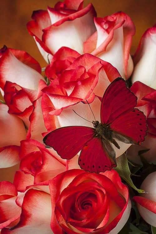 اضغط على الصورة لعرض أكبر. 

الإسم:	photo_2016-10-20_22-08-31.jpg 
مشاهدات:	363 
الحجم:	68.1 كيلوبايت 
الهوية:	907324