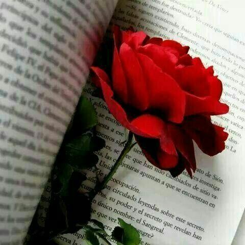 اضغط على الصورة لعرض أكبر. 

الإسم:	photo_٢٠٢٠-٠٦-٠٣_٠٩-٤٣-٤٥.jpg 
مشاهدات:	398 
الحجم:	49.8 كيلوبايت 
الهوية:	910302