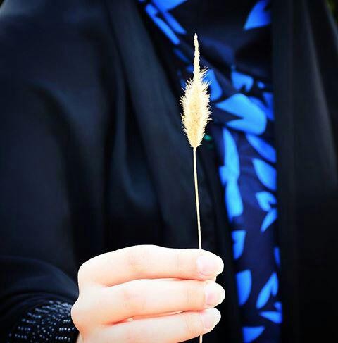 اضغط على الصورة لعرض أكبر. 

الإسم:	photo_2016-11-10_21-42-41.jpg 
مشاهدات:	420 
الحجم:	31.1 كيلوبايت 
الهوية:	911728