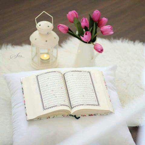 اضغط على الصورة لعرض أكبر. 

الإسم:	photo_2016-07-12_00-22-55.jpg 
مشاهدات:	480 
الحجم:	36.9 كيلوبايت 
الهوية:	912513