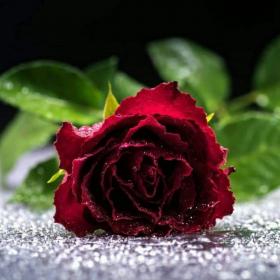 اضغط على الصورة لعرض أكبر. 

الإسم:	received_662681580766511.jpg 
مشاهدات:	2 
الحجم:	13.2 كيلوبايت 
الهوية:	864402