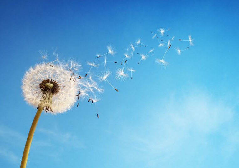 اضغط على الصورة لعرض أكبر. 

الإسم:	32f3d53edf404506f5b171788c7eec60-700.jpg 
مشاهدات:	750 
الحجم:	48.6 كيلوبايت 
الهوية:	913329