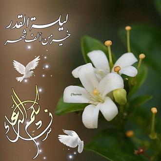 اضغط على الصورة لعرض أكبر. 

الإسم:	photo_2021-05-05_17-52-10.jpg 
مشاهدات:	525 
الحجم:	119.5 كيلوبايت 
الهوية:	914651
