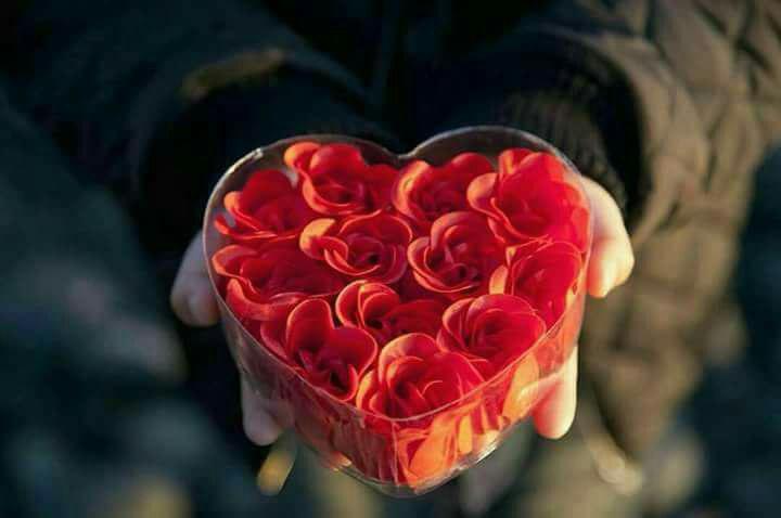 اضغط على الصورة لعرض أكبر. 

الإسم:	photo_2017-10-24_23-20-53.jpg 
مشاهدات:	3 
الحجم:	27.4 كيلوبايت 
الهوية:	863725