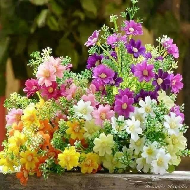 اضغط على الصورة لعرض أكبر. 

الإسم:	11249479_501618020003701_5225041693111886084_n.jpg 
مشاهدات:	375 
الحجم:	95.0 كيلوبايت 
الهوية:	918161