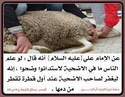 اضغط على الصورة لعرض أكبر. 

الإسم:	photo_2021-07-19_10-33-48.jpg 
مشاهدات:	577 
الحجم:	21.7 كيلوبايت 
الهوية:	920107