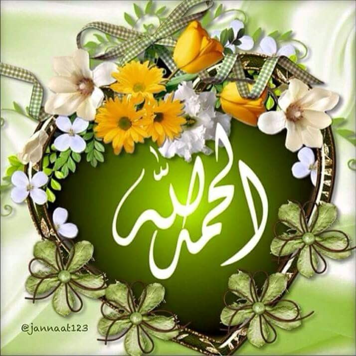 اضغط على الصورة لعرض أكبر. 

الإسم:	11987102_1642771476001944_1727063792751107484_n.jpg 
مشاهدات:	387 
الحجم:	106.9 كيلوبايت 
الهوية:	921637