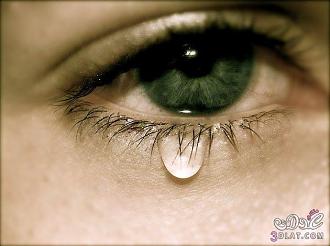 اضغط على الصورة لعرض أكبر. 

الإسم:	900_900_10000817.jpg 
مشاهدات:	430 
الحجم:	103.6 كيلوبايت 
الهوية:	921661