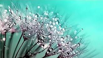 اضغط على الصورة لعرض أكبر. 

الإسم:	photo_2021-08-17_11-03-13.jpg 
مشاهدات:	505 
الحجم:	46.6 كيلوبايت 
الهوية:	921932