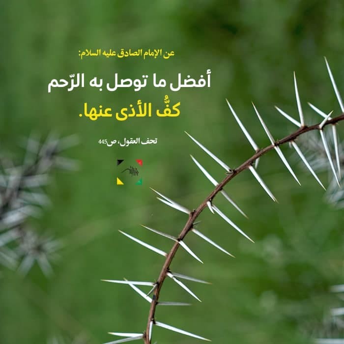 اضغط على الصورة لعرض أكبر. 

الإسم:	photo_2021-08-24_20-14-50.jpg 
مشاهدات:	670 
الحجم:	52.4 كيلوبايت 
الهوية:	922401