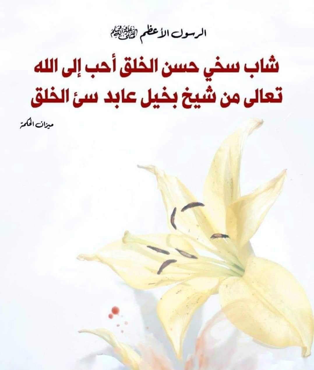 اضغط على الصورة لعرض أكبر. 

الإسم:	photo_2021-09-06_07-35-39.jpg 
مشاهدات:	492 
الحجم:	83.1 كيلوبايت 
الهوية:	923461