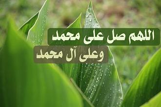 اضغط على الصورة لعرض أكبر. 

الإسم:	photo_2021-09-06_12-13-17.jpg 
مشاهدات:	586 
الحجم:	41.9 كيلوبايت 
الهوية:	923478
