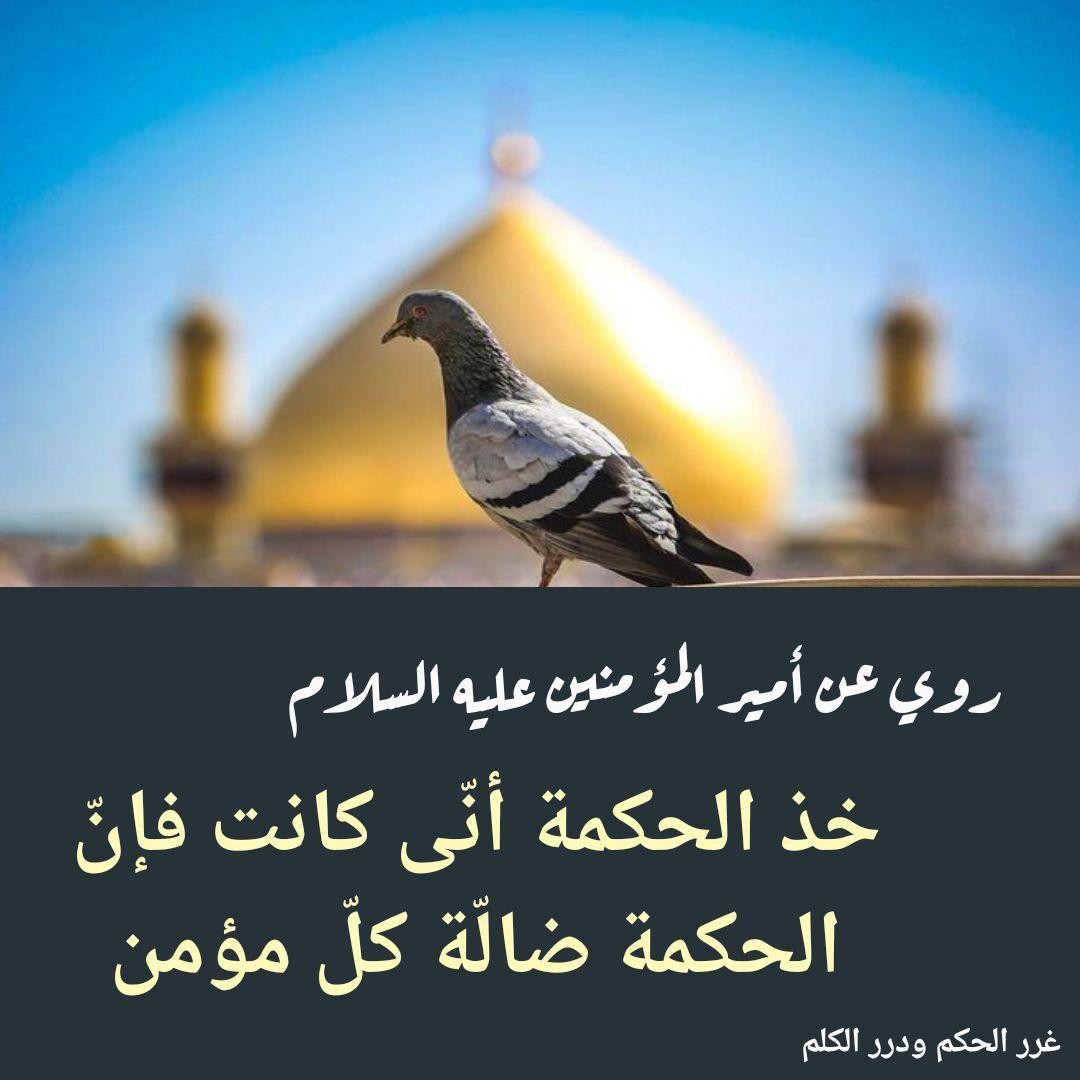 اضغط على الصورة لعرض أكبر. 

الإسم:	photo_2021-09-07_06-47-45.jpg 
مشاهدات:	312 
الحجم:	120.6 كيلوبايت 
الهوية:	923572