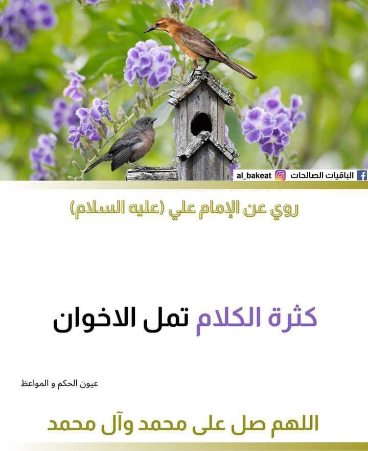اضغط على الصورة لعرض أكبر. 

الإسم:	photo_2021-09-13_05-41-11.jpg 
مشاهدات:	406 
الحجم:	78.6 كيلوبايت 
الهوية:	924150