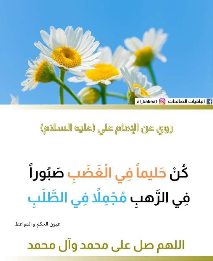 اضغط على الصورة لعرض أكبر. 

الإسم:	photo_2021-09-13_05-40-42.jpg 
مشاهدات:	365 
الحجم:	64.9 كيلوبايت 
الهوية:	924152