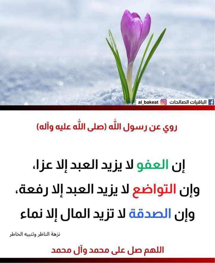 اضغط على الصورة لعرض أكبر. 

الإسم:	photo_2021-09-13_05-35-11.jpg 
مشاهدات:	358 
الحجم:	74.3 كيلوبايت 
الهوية:	924171
