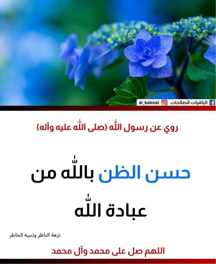 اضغط على الصورة لعرض أكبر. 

الإسم:	photo_2021-09-13_05-35-24.jpg 
مشاهدات:	327 
الحجم:	71.0 كيلوبايت 
الهوية:	924175