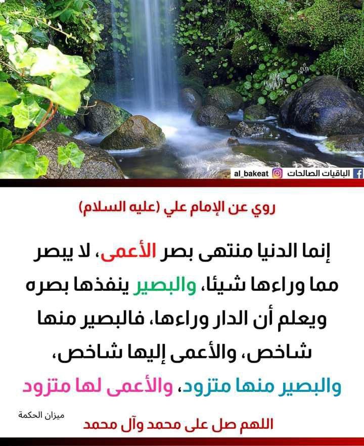 اضغط على الصورة لعرض أكبر. 

الإسم:	photo_2021-09-13_05-35-01.jpg 
مشاهدات:	463 
الحجم:	140.7 كيلوبايت 
الهوية:	924299