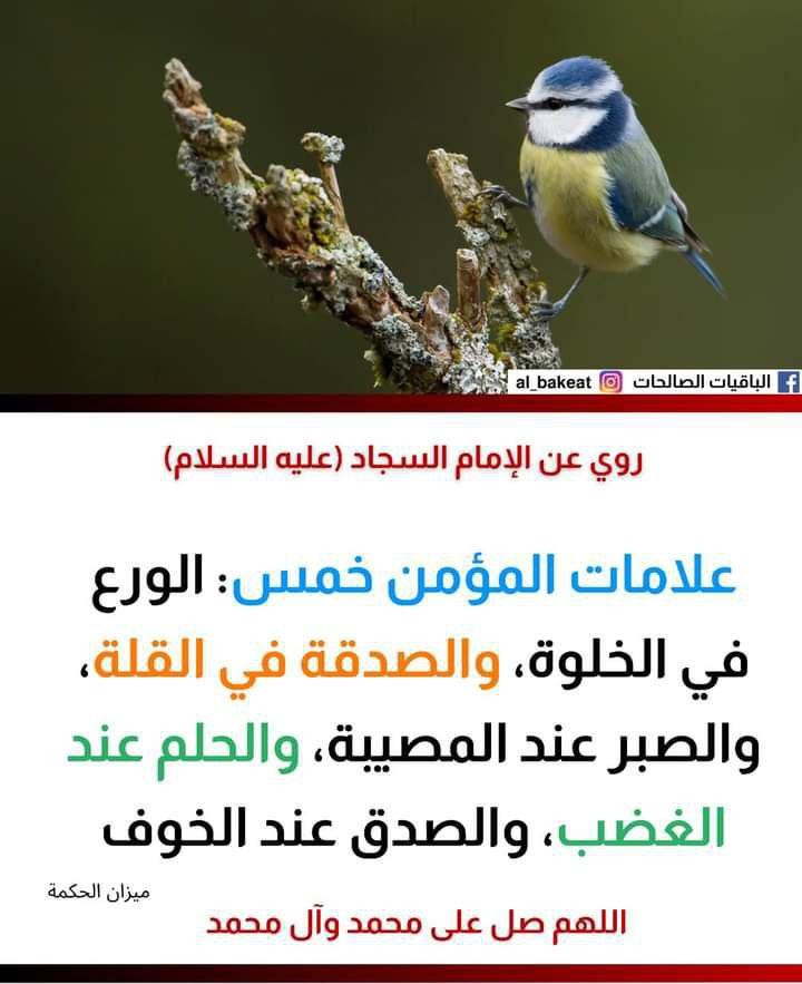اضغط على الصورة لعرض أكبر. 

الإسم:	photo_2021-09-13_05-37-27.jpg 
مشاهدات:	635 
الحجم:	85.0 كيلوبايت 
الهوية:	924692