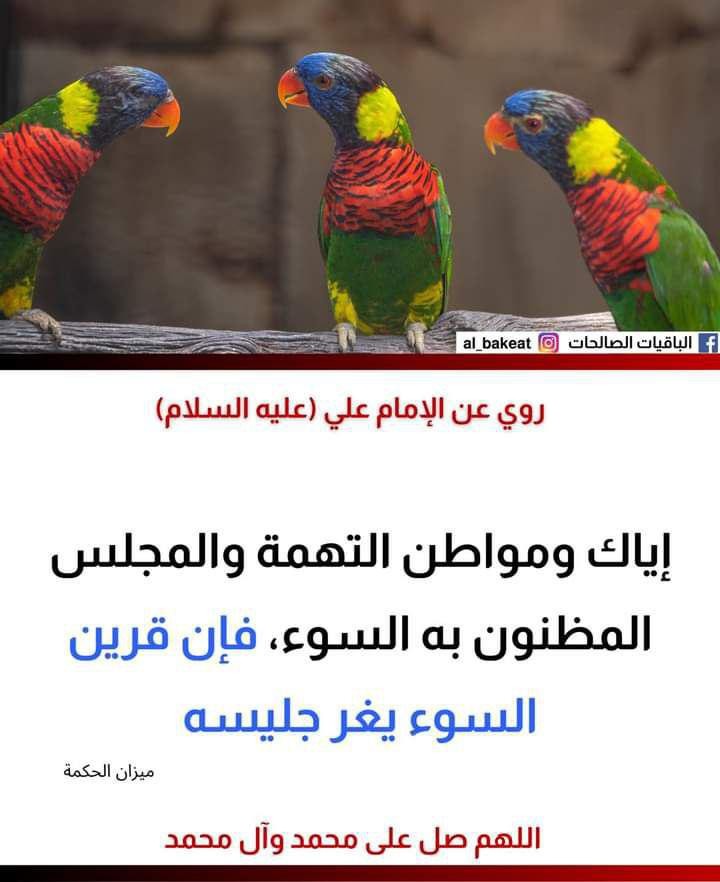 اضغط على الصورة لعرض أكبر. 

الإسم:	photo_2021-09-20_05-32-31.jpg 
مشاهدات:	336 
الحجم:	81.0 كيلوبايت 
الهوية:	925046