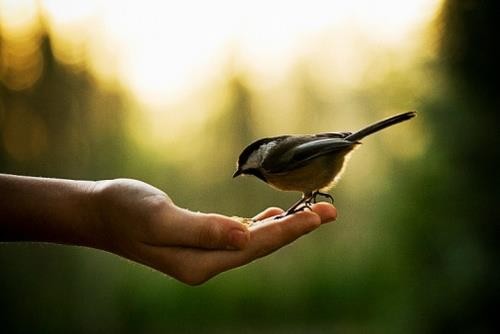 اضغط على الصورة لعرض أكبر. 

الإسم:	1af3b604fbb2f28c00d2edf4508f1d84.jpg 
مشاهدات:	819 
الحجم:	19.9 كيلوبايت 
الهوية:	926327