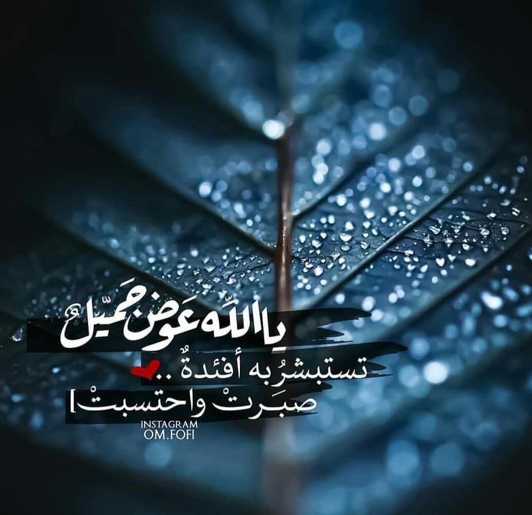 اضغط على الصورة لعرض أكبر. 

الإسم:	photo_2021-09-05_11-13-25.jpg 
مشاهدات:	343 
الحجم:	113.3 كيلوبايت 
الهوية:	932064