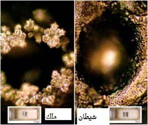 اضغط على الصورة لعرض أكبر.  الإسم: شيطان ملك.jpg  مشاهدات: 1  الحجم: 48.9 كيلوبايت  الهوية: 847246