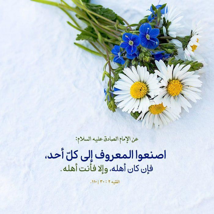 اضغط على الصورة لعرض أكبر. 

الإسم:	photo_2021-10-26_08-55-06.jpg 
مشاهدات:	415 
الحجم:	92.2 كيلوبايت 
الهوية:	927865