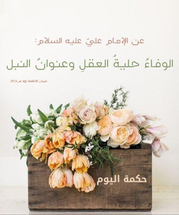 اضغط على الصورة لعرض أكبر. 

الإسم:	photo_2021-10-28_09-59-48.jpg 
مشاهدات:	275 
الحجم:	67.6 كيلوبايت 
الهوية:	927890