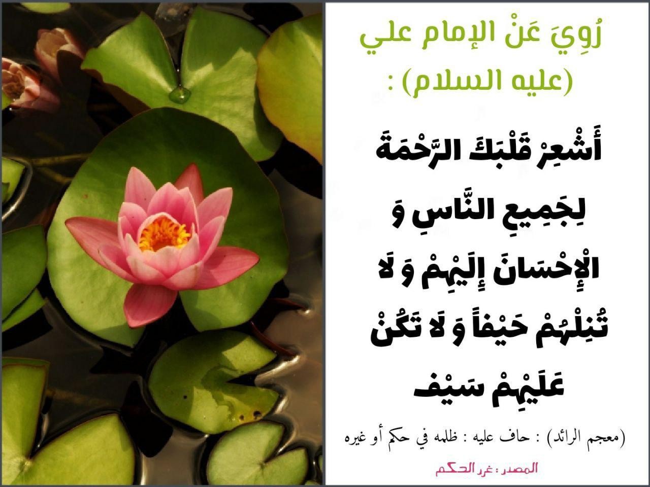 اضغط على الصورة لعرض أكبر. 

الإسم:	photo_2021-10-26_08-14-32.jpg 
مشاهدات:	191 
الحجم:	167.0 كيلوبايت 
الهوية:	928051