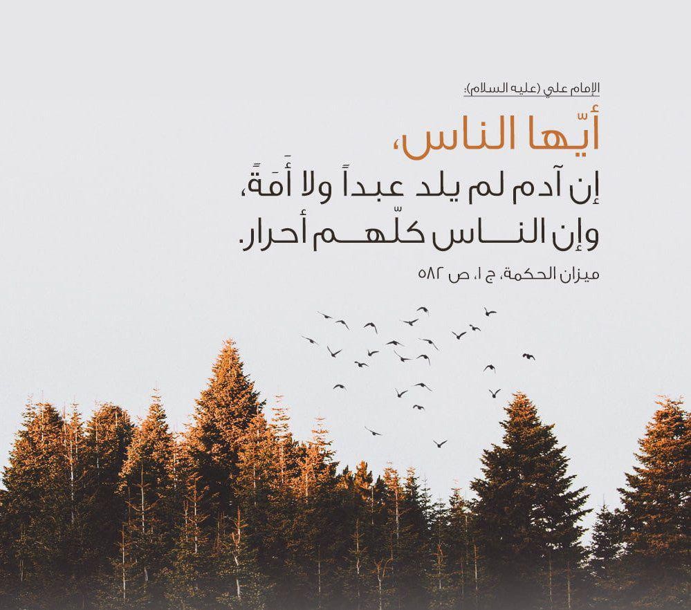اضغط على الصورة لعرض أكبر. 

الإسم:	photo_2021-11-02_10-39-41.jpg 
مشاهدات:	238 
الحجم:	160.9 كيلوبايت 
الهوية:	928222
