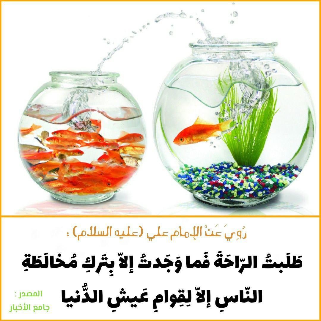 اضغط على الصورة لعرض أكبر. 

الإسم:	photo_2021-11-03_07-38-36.jpg 
مشاهدات:	215 
الحجم:	190.0 كيلوبايت 
الهوية:	928320
